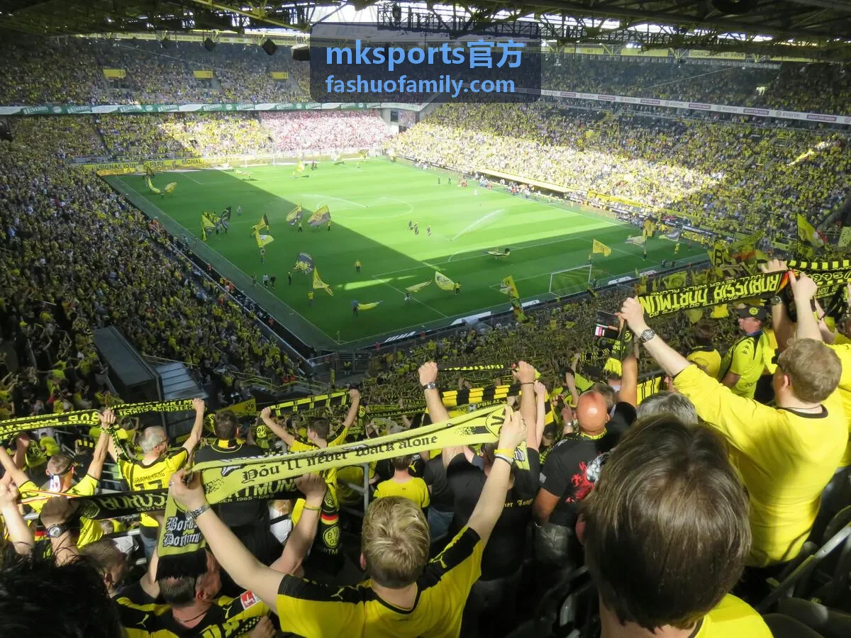 mksports官方 赛前预告与对阵分析配图